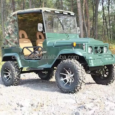 300cc 4x4 UTVs Газовый UTV 2 места UTV Buggy Quad велосипед для взрослых Максимальная скорость 50-75 км / ч