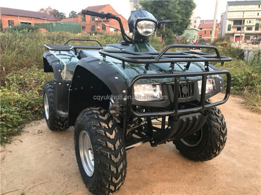 Сертифицированный CE 200cc балансовый двигатель велосипед ATV квадроцикл с мотором 800 Вт и напряжением 60 В