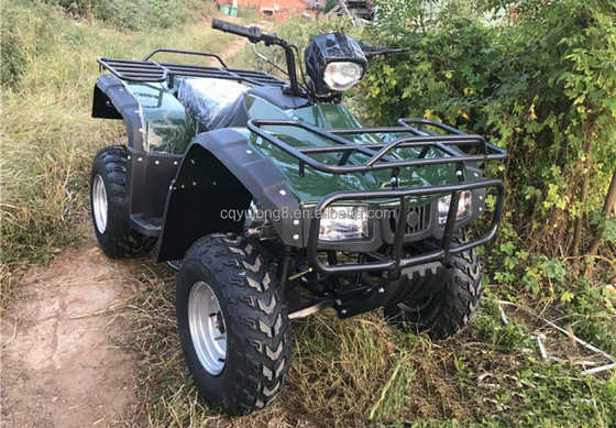 Сертифицированный CE 200cc балансовый двигатель велосипед ATV квадроцикл с мотором 800 Вт и напряжением 60 В