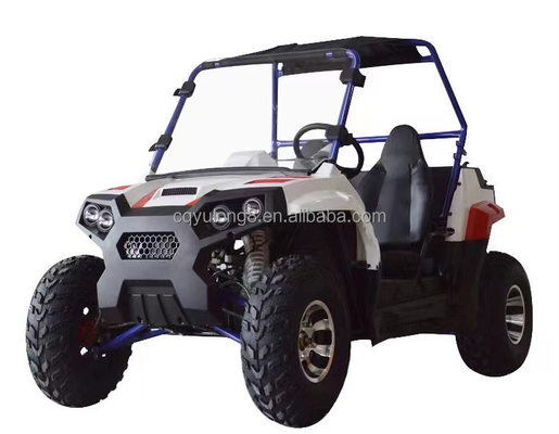 Время зарядки 5-7h 2300mm*1300mm*900mm Утвержденный двигатель 1500W 4x4 UTVs Side by Side