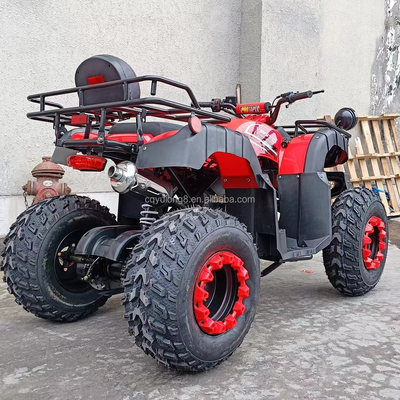 Электрический старт 250cc Quad Bike с 500W мотором и конструкцией для всех видов местности