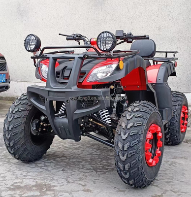 Электрический старт 250cc Quad Bike с 500W мотором и конструкцией для всех видов местности
