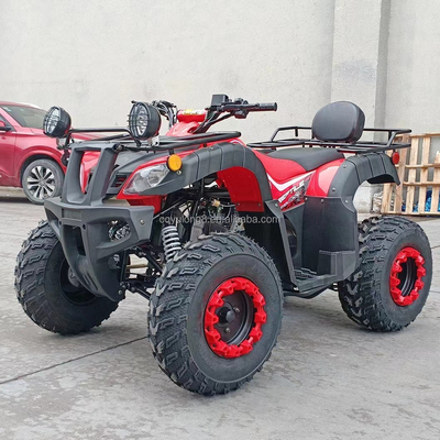 Электрический старт 250cc Quad Bike с 500W мотором и конструкцией для всех видов местности
