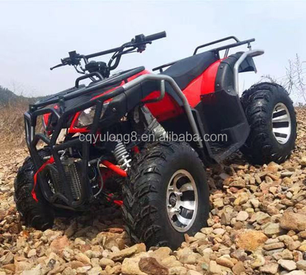 Автоматический 125cc цепный привод взрослый четырехколесный внедорожный горный квадроцикл для развлечений на открытом воздухе