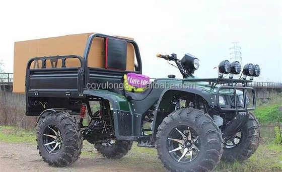 Внедорожный 250cc фермерский квадроцикл с автоматической коробкой передач и 60В батареей