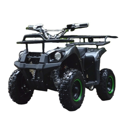 800w Mini Electric ATV для детей и взрослых