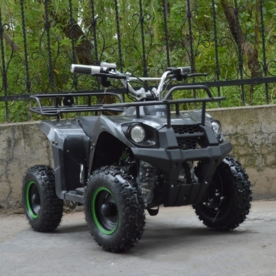 800w Mini Electric ATV для детей и взрослых