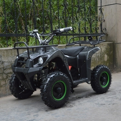 800w Mini Electric ATV для детей и взрослых