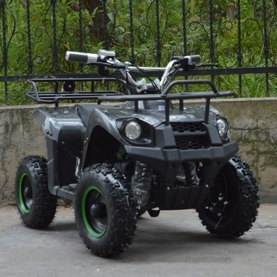 800w Mini Electric ATV для детей и взрослых