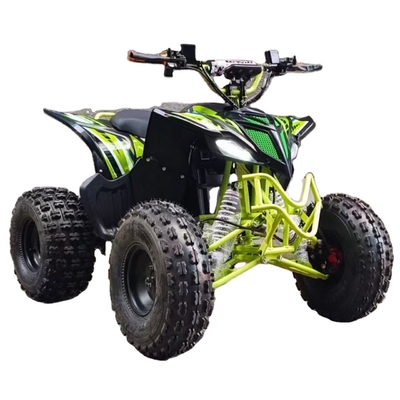 1130*590*730мм ЕЭК Spy Racing Atv Высокий 800w 4x4 Электрические го-карты для детей и взрослых