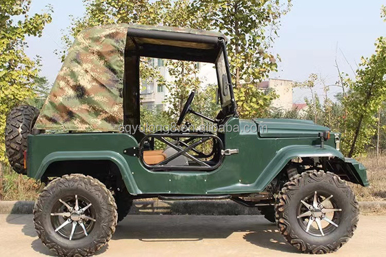 2 сиденья для взрослых 200cc 300cc система трансмиссии вала 2WD Четырехколесный бугги Автомобиль UTV 4x4 Джипы