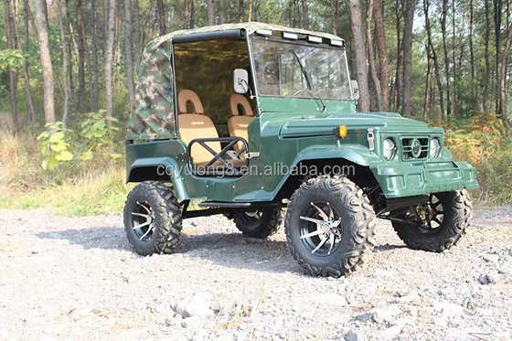 2 сиденья для взрослых 200cc 300cc система трансмиссии вала 2WD Четырехколесный бугги Автомобиль UTV 4x4 Джипы