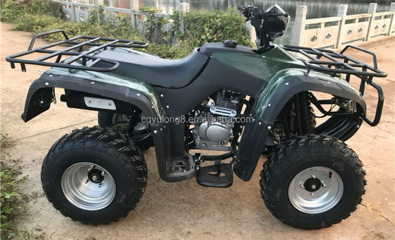 200cc 300cc 4x4 ATV UTV внедорожник Четырехколесный бок о бок Уровень способности квадроцикл