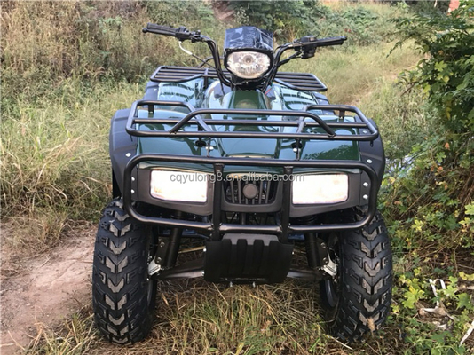 200cc 300cc 4x4 ATV UTV внедорожник Четырехколесный бок о бок Уровень способности квадроцикл