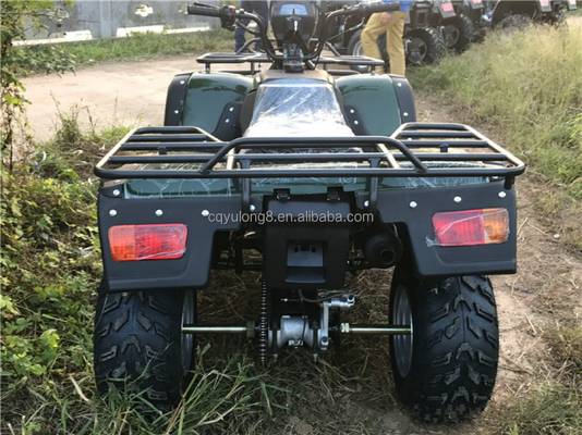 200cc 300cc 4x4 ATV UTV внедорожник Четырехколесный бок о бок Уровень способности квадроцикл