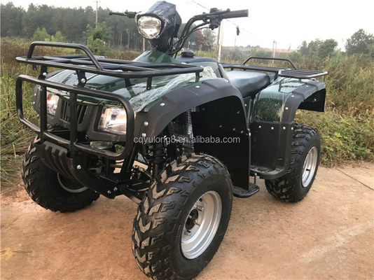 200cc 300cc 4x4 ATV UTV внедорожник Четырехколесный бок о бок Уровень способности квадроцикл