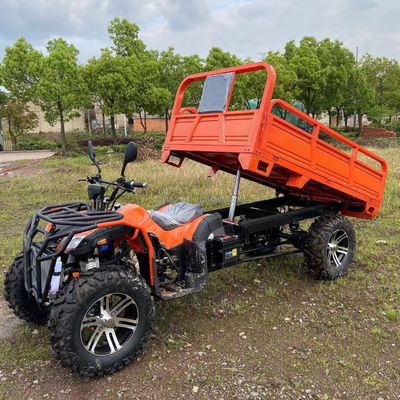 800 1000 Вт 2 цилиндровый водоохлаждаемый квадрокоптер 250CC 4X4 внедорожник с грузовыми ведрами