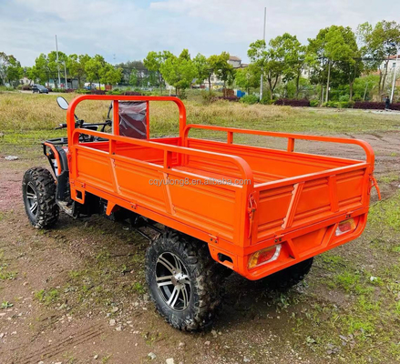 800 1000 Вт 2 цилиндровый водоохлаждаемый квадрокоптер 250CC 4X4 внедорожник с грузовыми ведрами