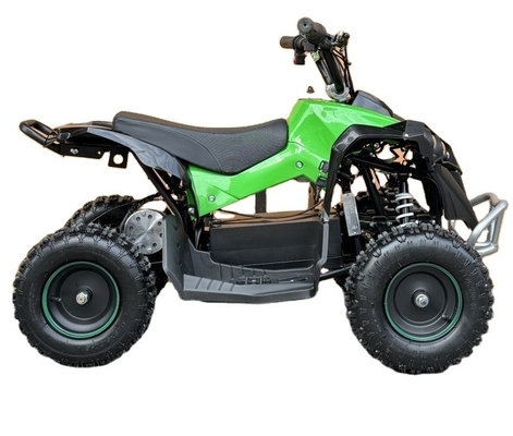 Электрический квадроцикл 36V 800W 48V 1000W Buggy Quad Bike для детей и взрослых