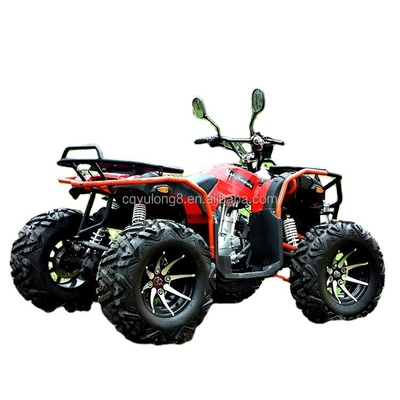 Настроить свою поездку Большой Бык 300cc 4 * 4 взрослый внедорожник с 300 мм просвета