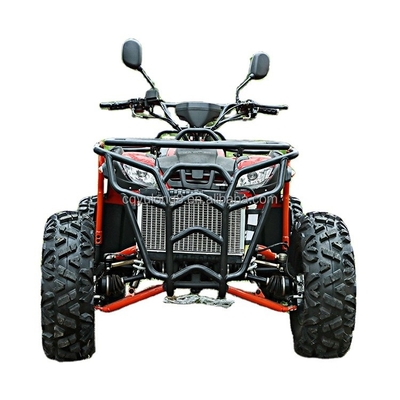 Настроить свою поездку Большой Бык 300cc 4 * 4 взрослый внедорожник с 300 мм просвета
