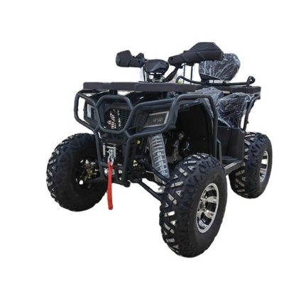 4WD ATV Quad Bike Buggy UTV Go Kart 250CC с минимальным большим пробелом 200-250 мм