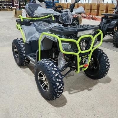 4WD ATV Quad Bike Buggy UTV Go Kart 250CC с минимальным большим пробелом 200-250 мм
