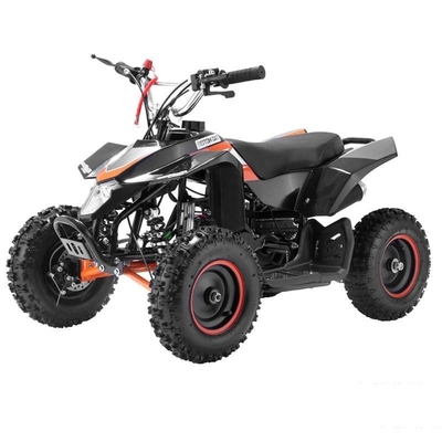 ЖК-дисплей Электрический ATV Мотоцикл Четыре колеса Четырехколесный велосипед 500 Вт 800 Вт для детей Взрослые