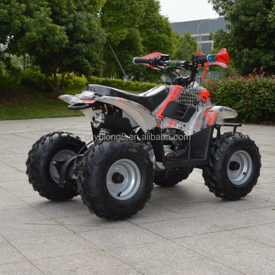 110cc цепь вращающийся четырехколесный квадроцикл Максимальный крутящий момент Nm 20-40Nm Пробег 50-70 км