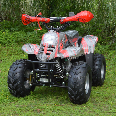 110cc цепь вращающийся четырехколесный квадроцикл Максимальный крутящий момент Nm 20-40Nm Пробег 50-70 км