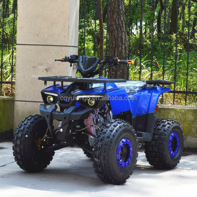 125cc/150cc Четырехколесный квадроцикл 4-тактный Четырехколесный автомобиль для спортивного вождения типа 4WD
